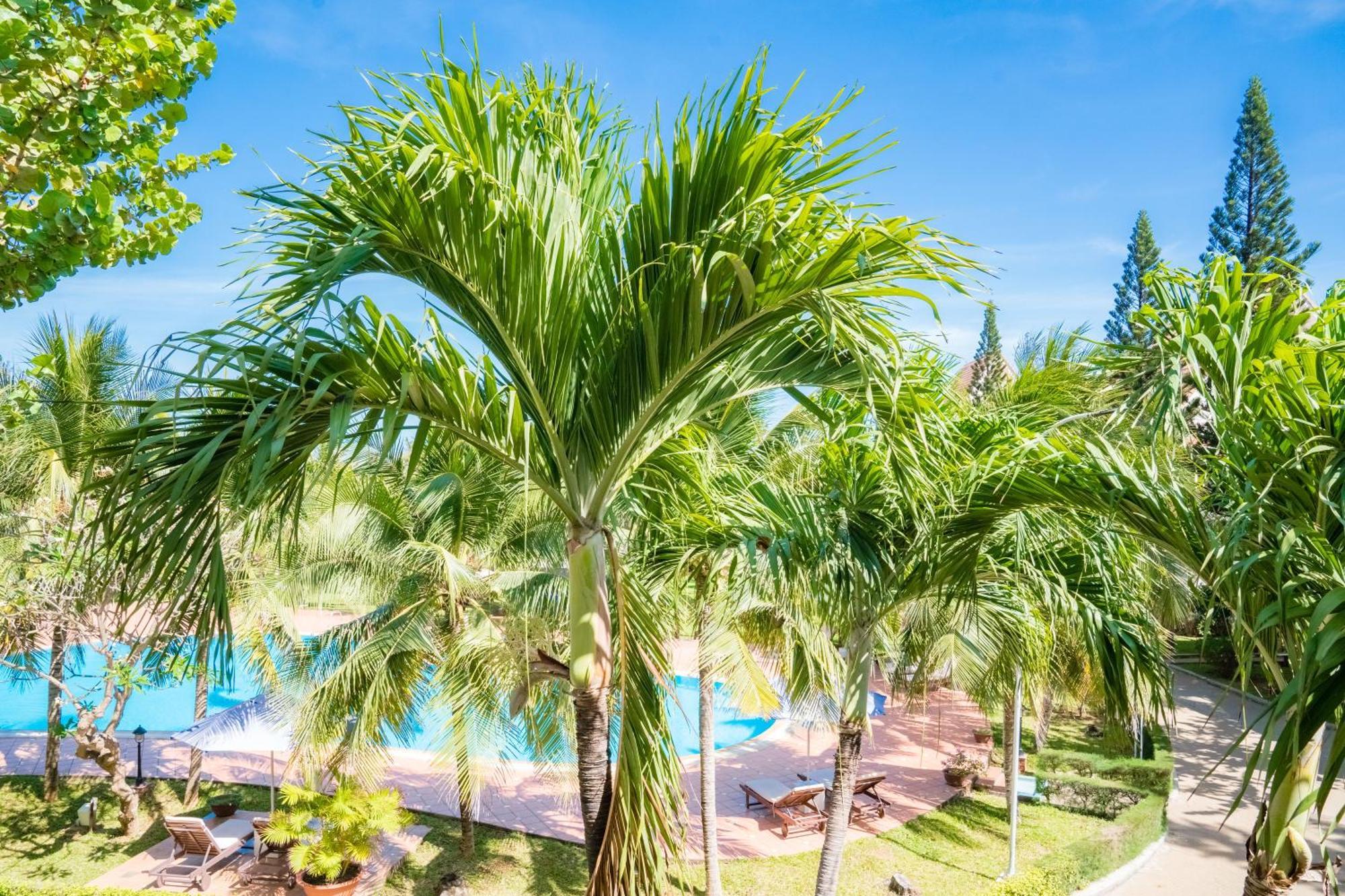 Lotus Vung Tau Resort&Spa Exterior foto